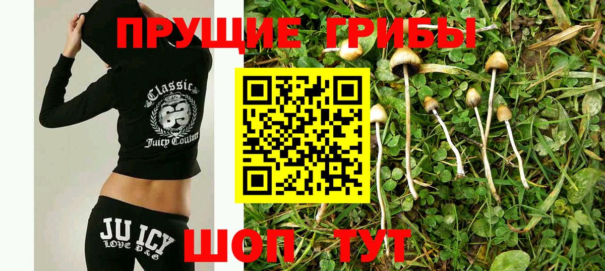 купить наркотики сайты  Галлюциногенные грибы Cubensis  Вход с VPN  Кунгур 